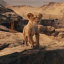 Един лъв променя живота ни завинаги с „Муфаса: Цар Лъв“ през декември по кината